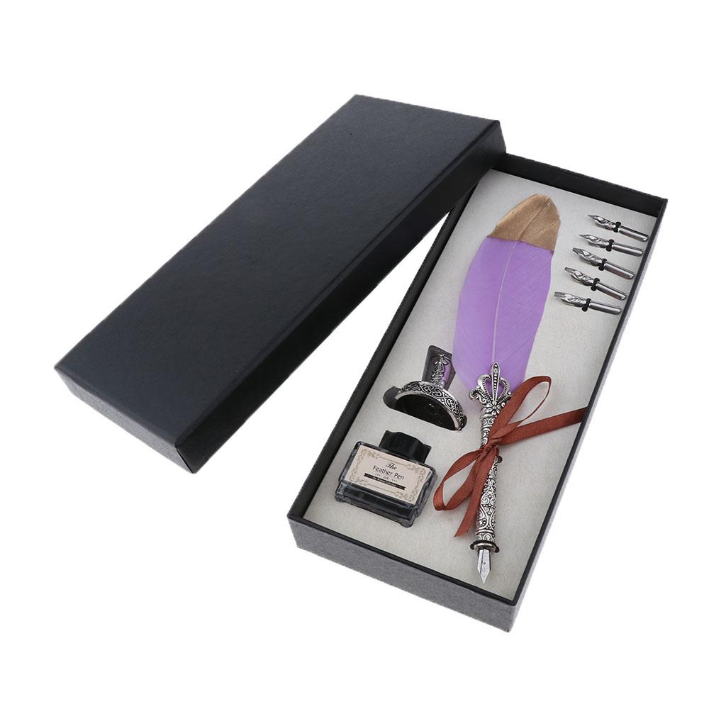 Fountain Pen Bottled Ink - Set di Calligrafia con Penna Antica