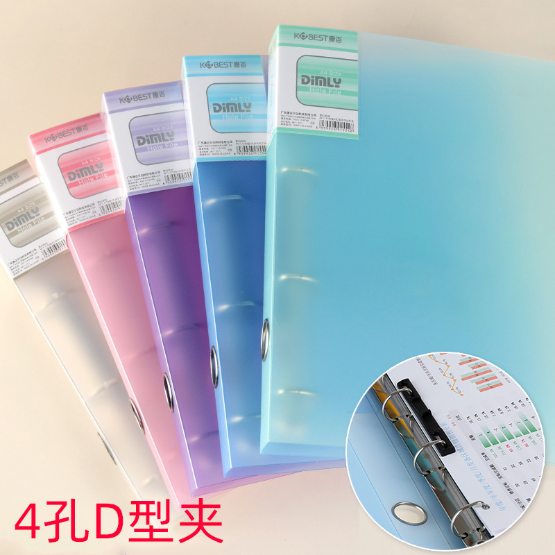 Raccoglitore per punzonatura A - Binder A4 Lever recensione e prezzo